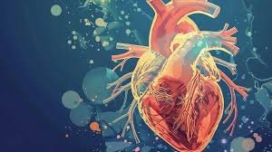 Advances in Cardiology and What Patients Should Know