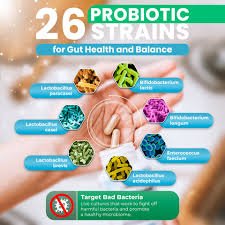 Enhancing Digestive Health With Probiotics and Prebiotics Enhancing Digestive Health With Probiotics and Prebiotics