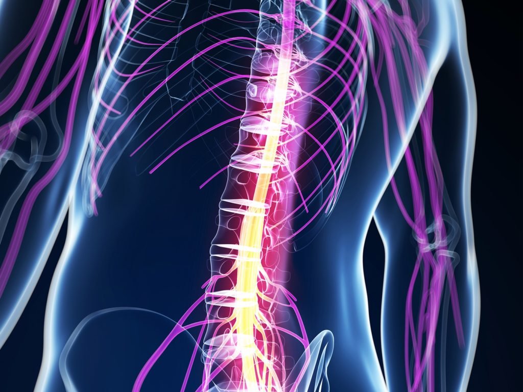 Innovative Techniques in Spine Surgery