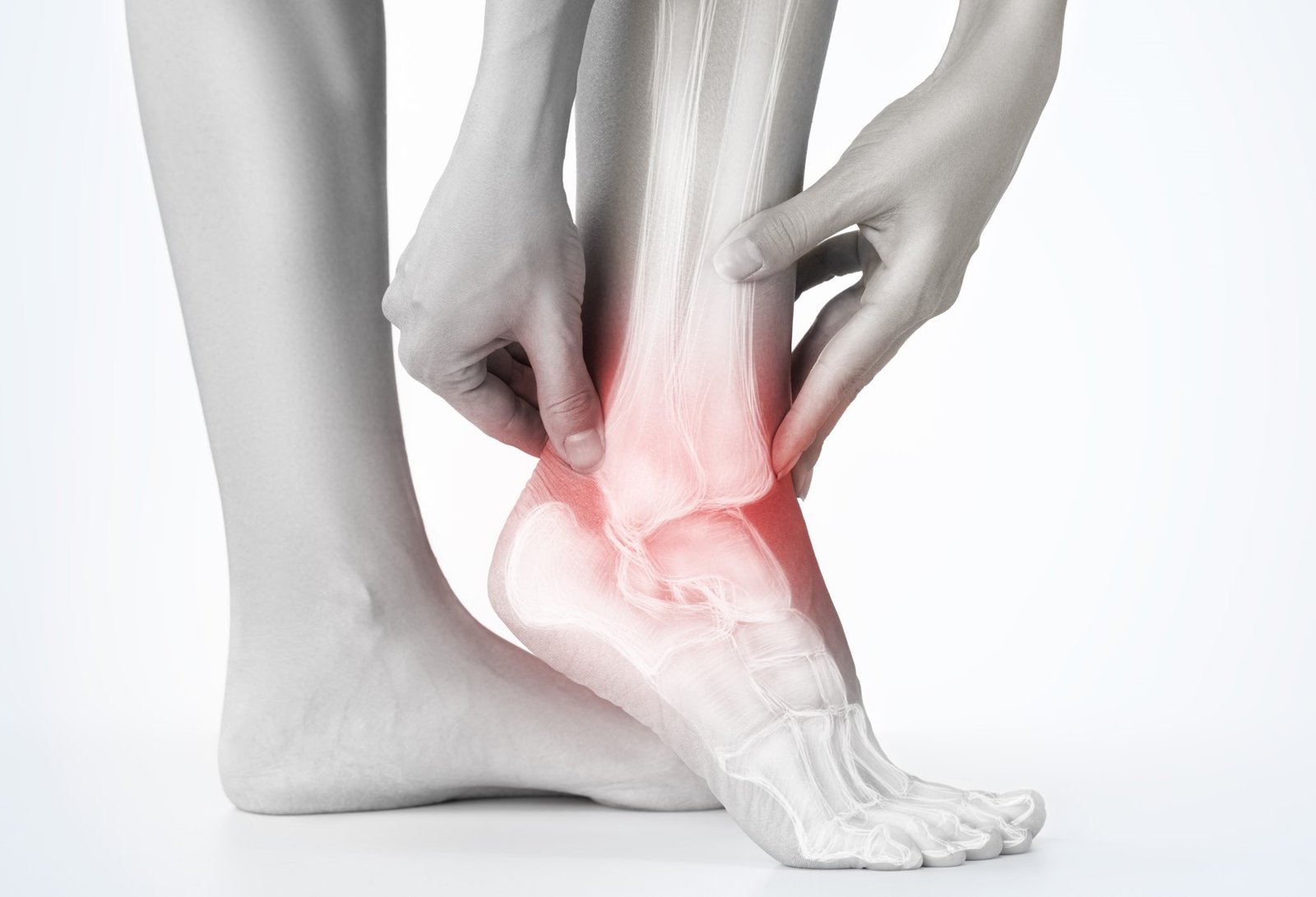 The Comprehensive Services Offered by Foot and Ankle Specialists The Comprehensive Services Offered by Foot and Ankle Specialists