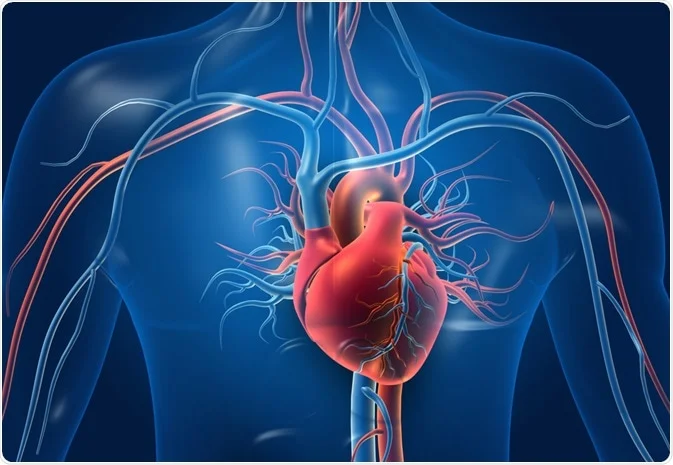 Understanding Common Cardiovascular Conditions