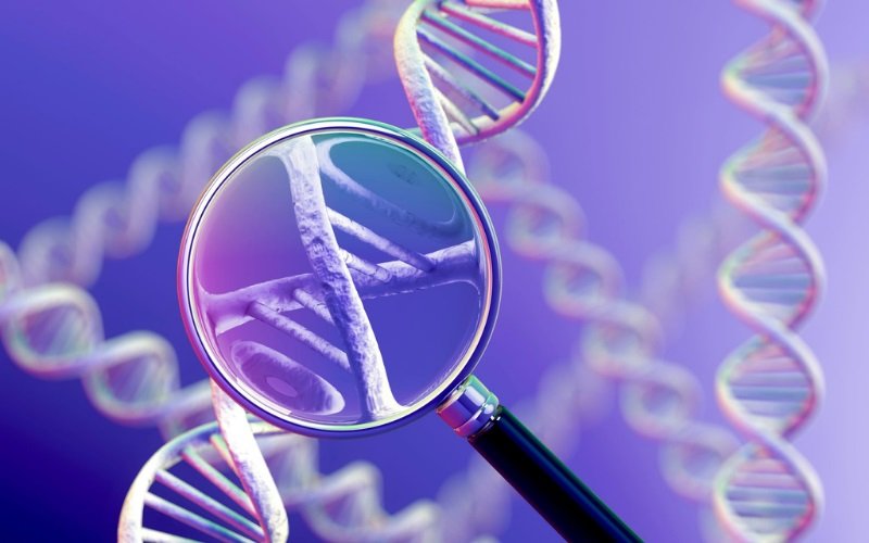 Understanding the Genetics of Cancer and Its Implications for Treatment Understanding the Genetics of Cancer and Its Implications for Treatment